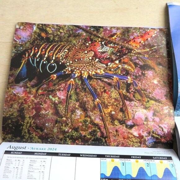 2 Hawaii Tide Moon Phase Calendars 2023/2024 Featuring Marine Life Photography - Picture 9 of 16